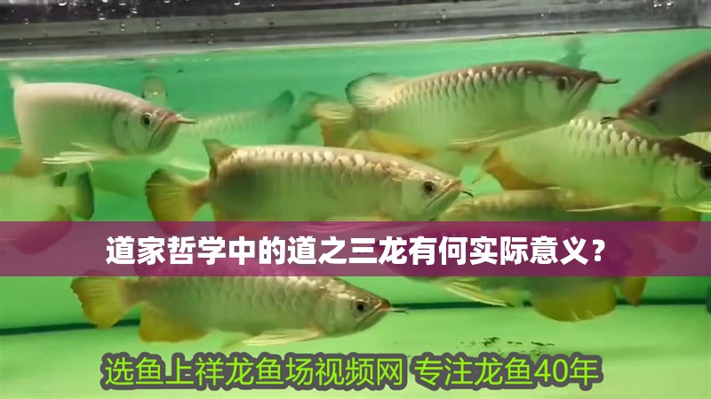 道家哲學(xué)中的道之三龍有何實(shí)際意義？