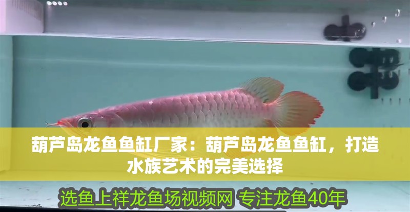 葫蘆島龍魚魚缸廠家：葫蘆島龍魚魚缸，打造水族藝術的完美選擇
