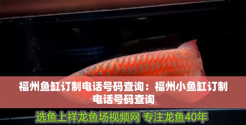 福州魚缸訂制電話號碼查詢：福州小魚缸訂制電話號碼查詢