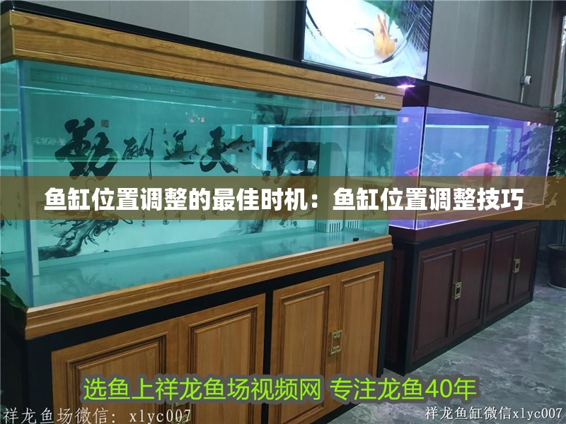 魚(yú)缸位置調(diào)整的最佳時(shí)機(jī)：魚(yú)缸位置調(diào)整技巧