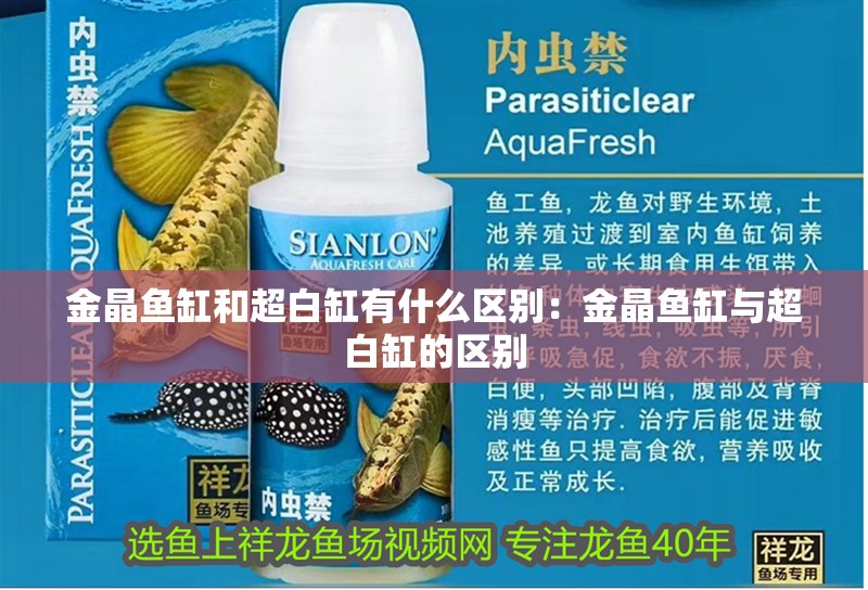 金晶魚缸和超白缸有什么區(qū)別：金晶魚缸與超白缸的區(qū)別 金晶魚缸和超白缸有什么區(qū)別：金晶魚缸與超白缸的區(qū)別 魚缸百科