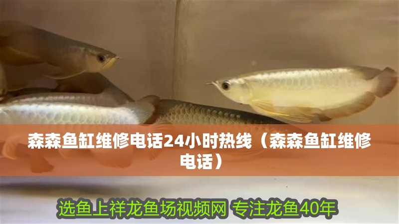 森森魚缸維修電話24小時熱線（森森魚缸維修電話） 森森魚缸維修電話24小時熱線（森森魚缸維修電話） 魚缸百科