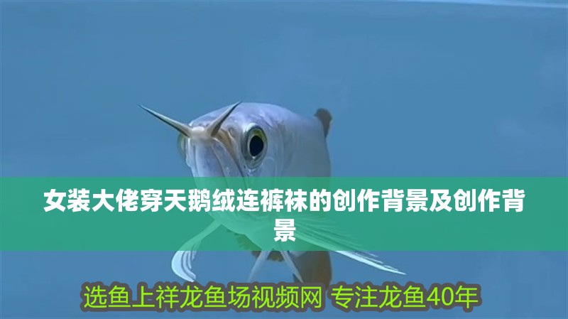 女裝大佬穿天鵝絨連褲襪的創作背景及創作背景