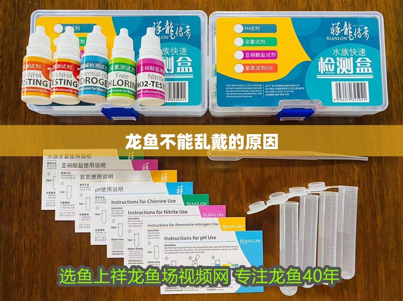 魚缸過濾器選購指南:自制魚缸過濾器魚缸上置過濾器對于養魚愛好者的必備知識 龍魚不能亂戴的原因 龍魚論壇 龍魚不能亂戴的原因 龍魚不能亂戴的原因 龍魚論壇