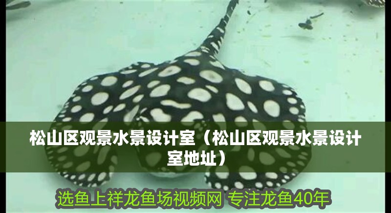 松山區(qū)觀景水景設(shè)計(jì)室（松山區(qū)觀景水景設(shè)計(jì)室地址）