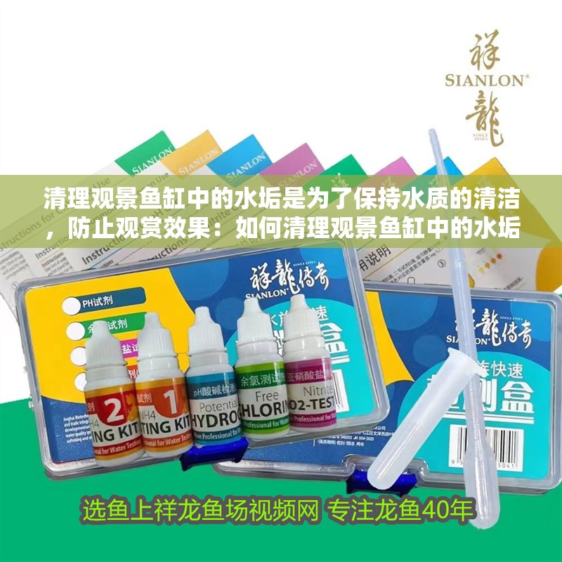 清理觀景魚缸中的水垢是為了保持水質的清潔，防止觀賞效果：如何清理觀景魚缸中的水垢