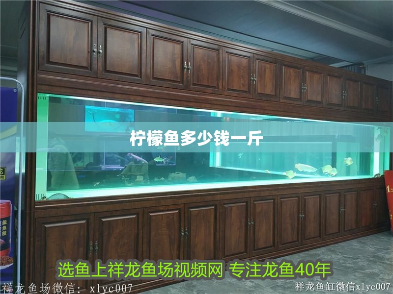 檸檬魚多少錢一斤