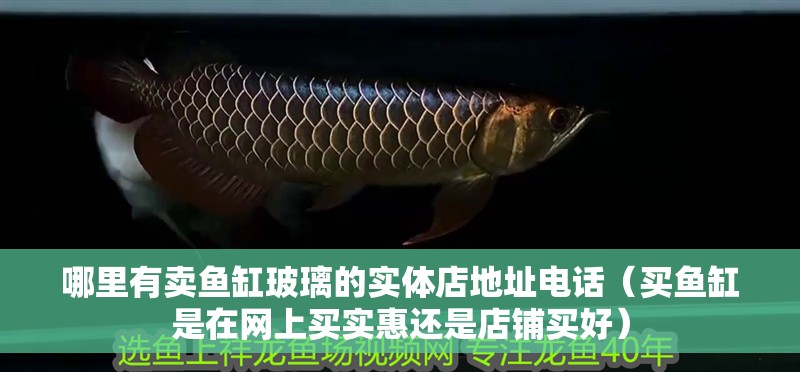 哪里有賣魚缸玻璃的實體店地址電話（買魚缸是在網(wǎng)上買實惠還是店鋪買好）