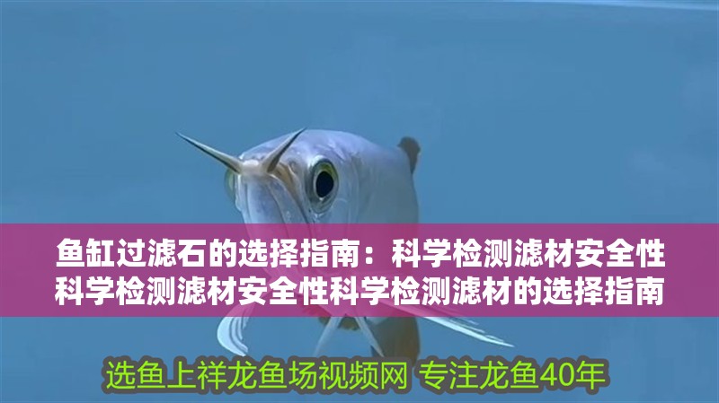 魚缸過濾石的選擇指南：科學檢測濾材安全性科學檢測濾材安全性科學檢測濾材的選擇指南