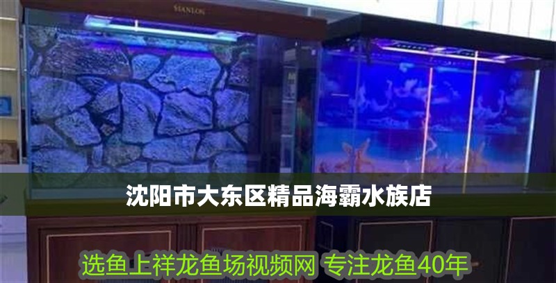 沈陽市大東區(qū)精品海霸水族店