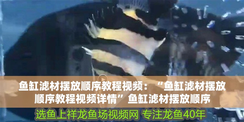 魚缸濾材擺放順序教程視頻：“魚缸濾材擺放順序教程視頻詳情”魚缸濾材擺放順序 魚缸濾材擺放順序教程視頻：“魚缸濾材擺放順序教程視頻詳情”魚缸濾材擺放順序 魚缸百科