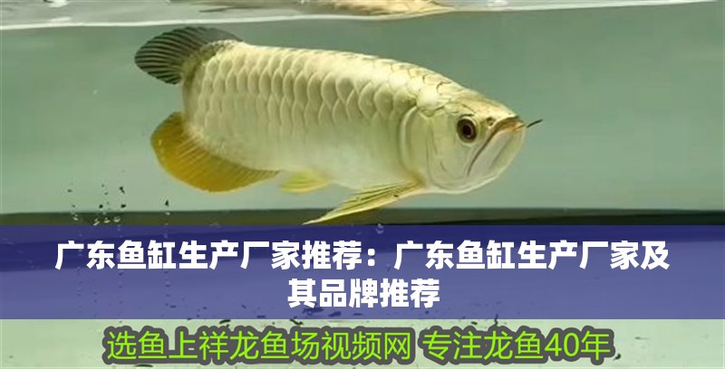 廣東魚缸生產(chǎn)廠家推薦：廣東魚缸生產(chǎn)廠家及其品牌推薦