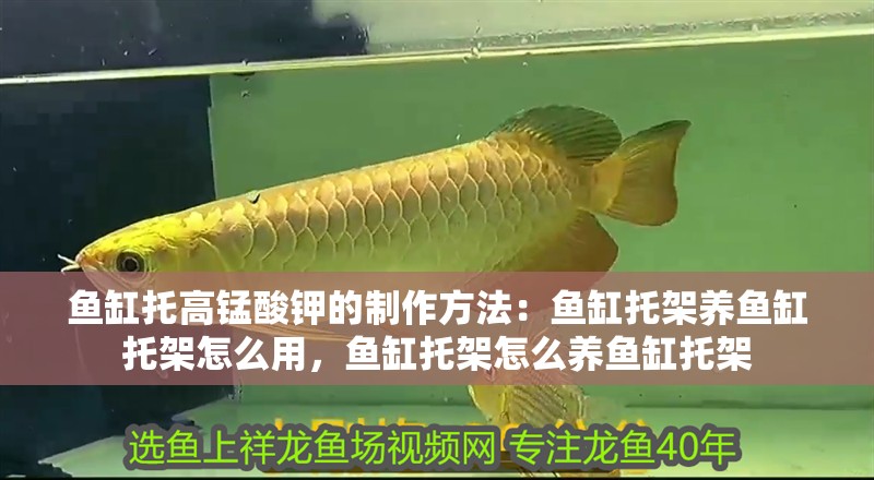 魚缸托高錳酸鉀的制作方法：魚缸托架養(yǎng)魚缸托架怎么用，魚缸托架怎么養(yǎng)魚缸托架 魚缸托高錳酸鉀的制作方法：魚缸托架養(yǎng)魚缸托架怎么用，魚缸托架怎么養(yǎng)魚缸托架 魚缸百科