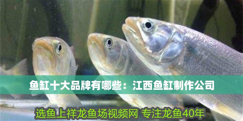 魚缸十大品牌有哪些：江西魚缸制作公司