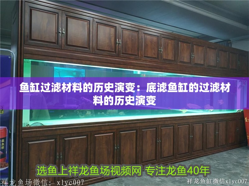 魚缸過濾材料的歷史演變：底濾魚缸的過濾材料的歷史演變 魚缸過濾材料的歷史演變：底濾魚缸的過濾材料的歷史演變 魚缸百科