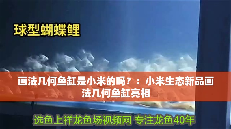 畫法幾何魚缸是小米的嗎？：小米生態新品畫法幾何魚缸亮相
