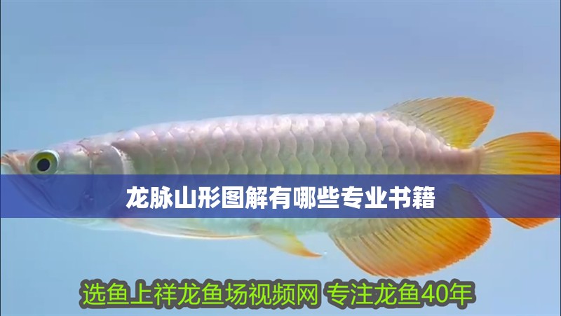 龍脈山形圖解有哪些專業書籍 龍脈山形圖解有哪些專業書籍 龍魚論壇