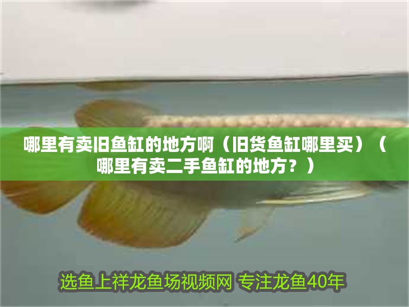 哪里有賣舊魚缸的地方啊（舊貨魚缸哪里買）（哪里有賣二手魚缸的地方？） 哪里有賣舊魚缸的地方啊（舊貨魚缸哪里買）（哪里有賣二手魚缸的地方？） 魚缸百科