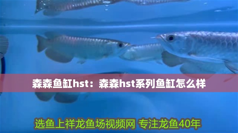 森森魚缸hst：森森hst系列魚缸怎么樣