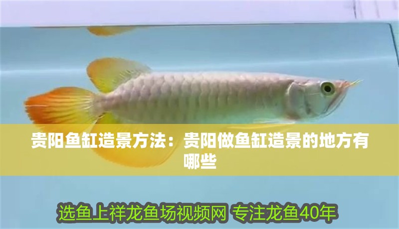 貴陽魚缸造景方法：貴陽做魚缸造景的地方有哪些 貴陽魚缸造景方法：貴陽做魚缸造景的地方有哪些 魚缸百科
