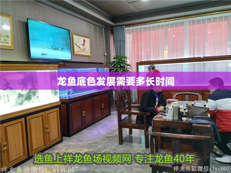 龍魚底色發展需要多長時間