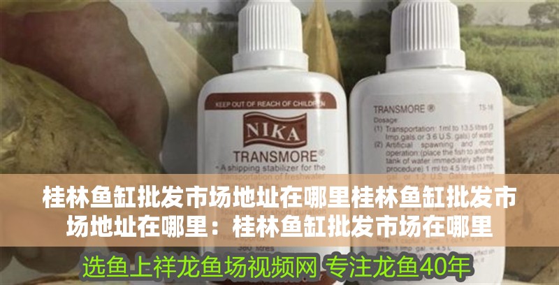 桂林魚缸批發市場地址在哪里桂林魚缸批發市場地址在哪里：桂林魚缸批發市場在哪里