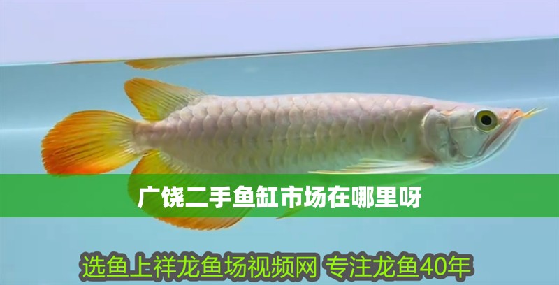 廣饒二手魚缸市場在哪里呀