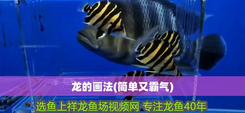 龍的畫法(簡單又霸氣) 龍的畫法(簡單又霸氣) 龍魚論壇