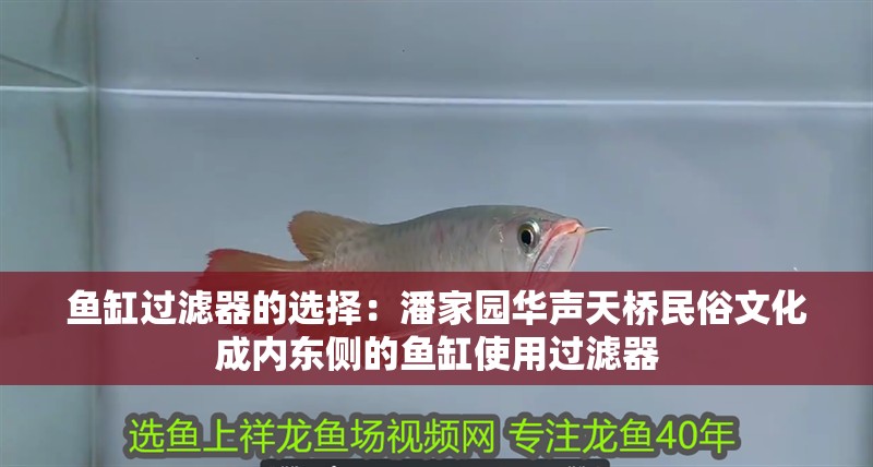 魚缸過濾器的選擇：潘家園華聲天橋民俗文化成內東側的魚缸使用過濾器