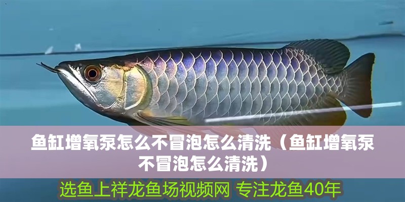 龍魚干蝦有營養(yǎng)嗎 魚缸增氧泵怎么不冒泡怎么清洗(魚缸增氧泵不冒泡怎么清洗) 魚缸百科 魚缸增氧泵怎么不冒泡怎么清洗(魚缸增氧泵不冒泡怎么清洗) 魚缸增氧泵怎么不冒泡怎么清洗(魚缸增氧泵不冒泡怎么清洗) 魚缸百科