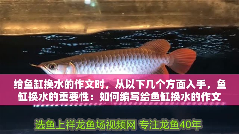 給魚缸換水的作文時，從以下幾個方面入手，魚缸換水的重要性：如何編寫給魚缸換水的作文