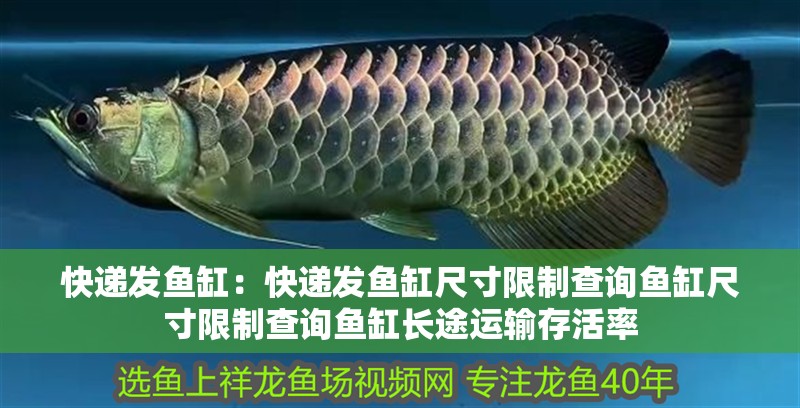 魚缸過(guò)濾器選購(gòu)指南:自制魚缸過(guò)濾器魚缸上置過(guò)濾器對(duì)于養(yǎng)魚愛(ài)好者的必備知識(shí) 快遞發(fā)魚缸:快遞發(fā)魚缸尺寸限制查詢魚缸尺寸限制查詢魚缸長(zhǎng)途運(yùn)輸存活率 魚缸百科 快遞發(fā)魚缸:快遞發(fā)魚缸尺寸限制查詢魚缸尺寸限制查詢魚缸長(zhǎng)途運(yùn)輸存活率 快遞發(fā)魚缸:快遞發(fā)魚缸尺寸限制查詢魚缸尺寸限制查詢魚缸長(zhǎng)途運(yùn)輸存活率 魚缸百科
