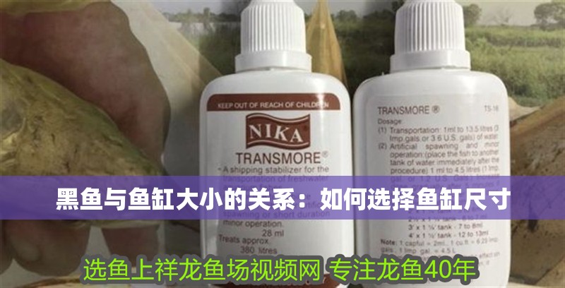 黑魚與魚缸大小的關系：如何選擇魚缸尺寸 黑魚與魚缸大小的關系：如何選擇魚缸尺寸 魚缸百科