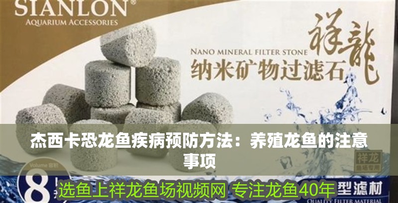 杰西卡恐龍魚疾病預(yù)防方法：養(yǎng)殖龍魚的注意事項