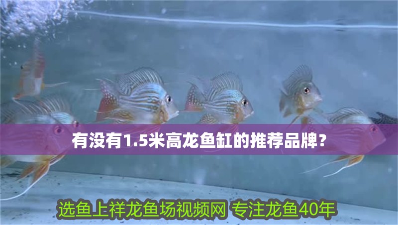 魚缸用增氧泵價格是多少:魚缸增氧機-xtrac增氧機-xtrac增氧機 有沒有1.5米高龍魚缸的推薦品牌? 龍魚論壇 有沒有1.5米高龍魚缸的推薦品牌? 有沒有1.5米高龍魚缸的推薦品牌? 龍魚論壇