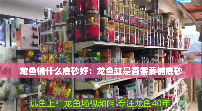 龍魚鋪什么底砂好：龍魚缸是否需要鋪底砂