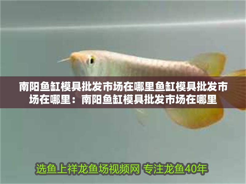 南陽魚缸模具批發市場在哪里魚缸模具批發市場在哪里：南陽魚缸模具批發市場在哪里