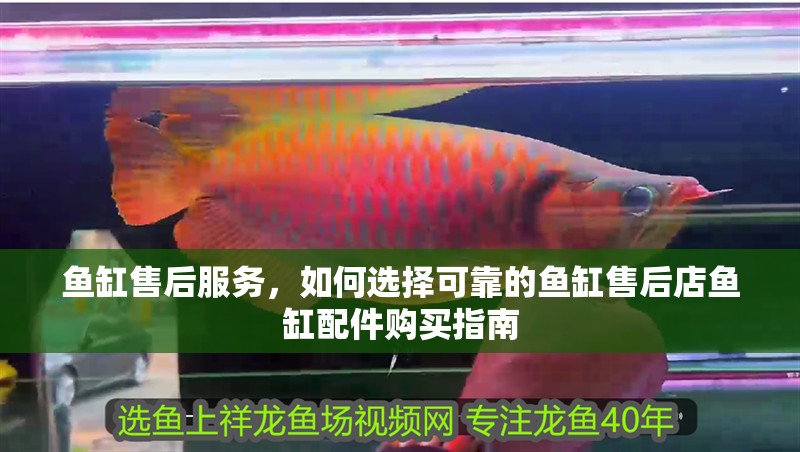魚缸售后服務，如何選擇可靠的魚缸售后店魚缸配件購買指南