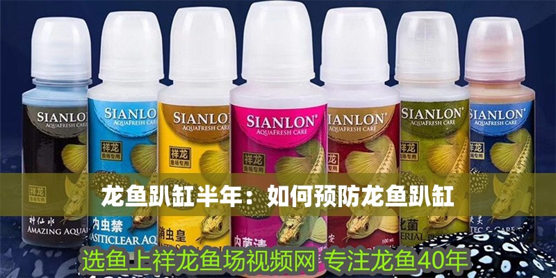 龍魚趴缸半年：如何預防龍魚趴缸