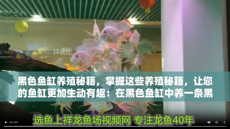 黑色魚缸養殖秘籍，掌握這些養殖秘籍，讓您的魚缸更加生動有趣：在黑色魚缸中養一條黑魚為佳，掌握這些養殖秘籍，穩定財運 黑色魚缸養殖秘籍，掌握這些養殖秘籍，讓您的魚缸更加生動有趣：在黑色魚缸中養一條黑魚為佳，掌握這些養殖秘籍，穩定財運 魚缸百科