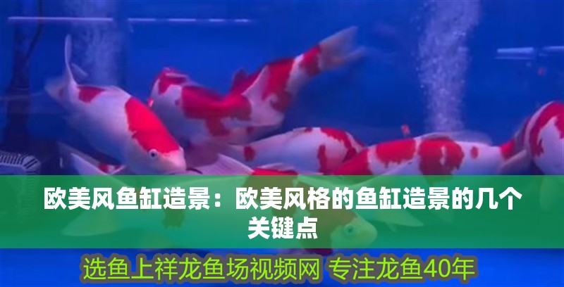 給大魚(yú)缸換水的作文:體驗(yàn)給大魚(yú)缸換水的樂(lè)趣:體驗(yàn)給大魚(yú)缸換水:給大魚(yú)缸換水的作文 歐美風(fēng)魚(yú)缸造景:歐美風(fēng)格的魚(yú)缸造景的幾個(gè)關(guān)鍵點(diǎn) 魚(yú)缸百科 歐美風(fēng)魚(yú)缸造景:歐美風(fēng)格的魚(yú)缸造景的幾個(gè)關(guān)鍵點(diǎn) 歐美風(fēng)魚(yú)缸造景:歐美風(fēng)格的魚(yú)缸造景的幾個(gè)關(guān)鍵點(diǎn) 魚(yú)缸百科