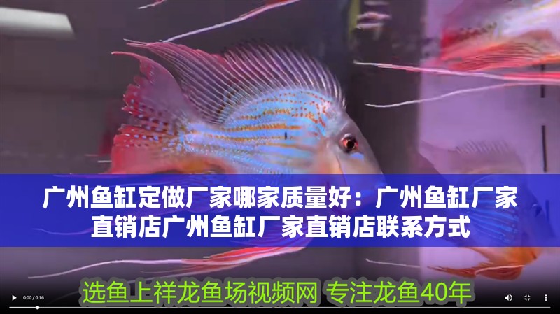 廣州魚缸定做廠家哪家質量好：廣州魚缸廠家直銷店廣州魚缸廠家直銷店聯(lián)系方式