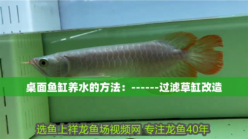 給大魚缸換水的作文:體驗給大魚缸換水的樂趣:體驗給大魚缸換水:給大魚缸換水的作文 桌面魚缸養水的方法:------過濾草缸改造 魚缸百科 桌面魚缸養水的方法:------過濾草缸改造 桌面魚缸養水的方法:------過濾草缸改造 魚缸百科