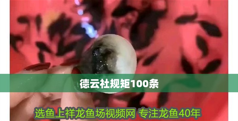 魚缸用增氧泵價(jià)格是多少:魚缸增氧機(jī)-xtrac增氧機(jī)-xtrac增氧機(jī) 德云社規(guī)矩100條 龍魚論壇 德云社規(guī)矩100條 德云社規(guī)矩100條 龍魚論壇