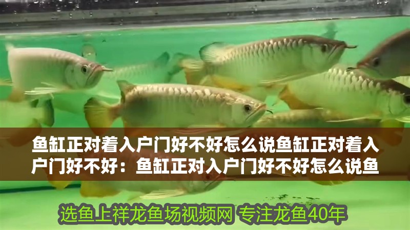 魚缸正對著入戶門好不好怎么說魚缸正對著入戶門好不好：魚缸正對入戶門好不好怎么說魚缸正對著入戶門好不好