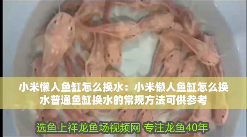 小米懶人魚缸怎么換水：小米懶人魚缸怎么換水普通魚缸換水的常規(guī)方法可供參考