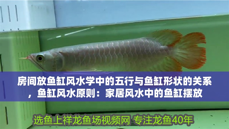 房間放魚缸風水學中的五行與魚缸形狀的關系，魚缸風水原則：家居風水中的魚缸擺放