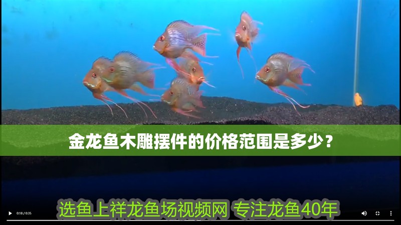 金龍魚木雕擺件的價格范圍是多少？