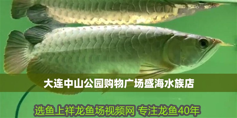 大連中山公園購物廣場盛海水族店