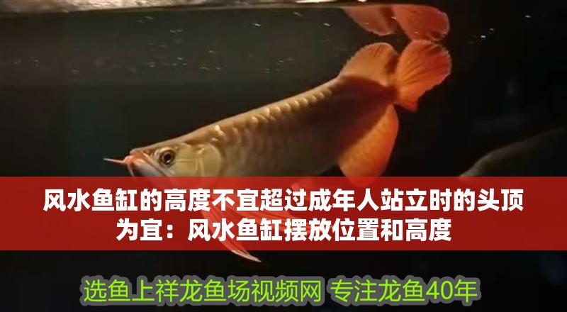 風水魚缸的高度不宜超過成年人站立時的頭頂為宜：風水魚缸擺放位置和高度